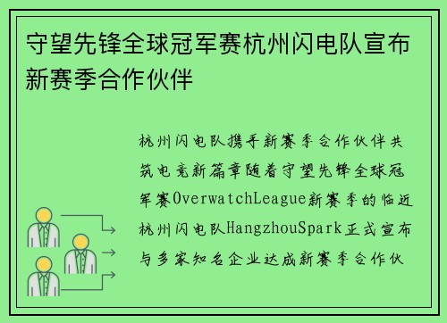 守望先锋全球冠军赛杭州闪电队宣布新赛季合作伙伴